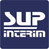 Chauffeur PL H / F